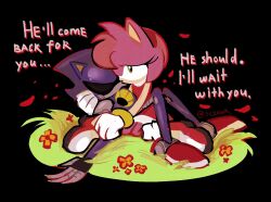 amy rose from sonic (series)