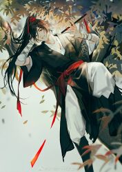 wei wuxian from modao zushi