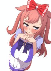 agnes digital (umamusume) from umamusume