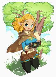 princess zelda from the legend of zelda