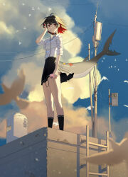 ellen joe from zenless zone zero by midfinger
