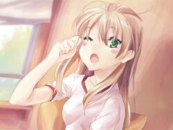 ibarazaki emi from katawa shoujo