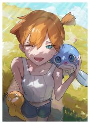 misty (pokemon) from pokemon