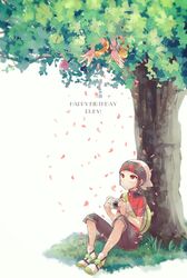 brendan (pokemon) from pokemon by niimura (csnel)