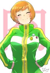 satonaka chie from persona by komugi (mugiwaraclub)