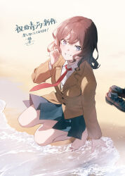 seishun buta yarou fan art