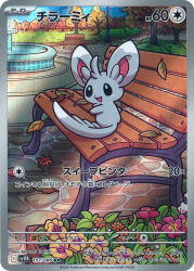 minccino from pokemon
