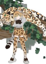 jaguar (kemono friends) from kemono friends