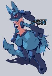 lucario from pokemon