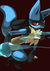 lucario from pokemon