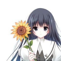 kohinata hayami from h2o footprints in the sand