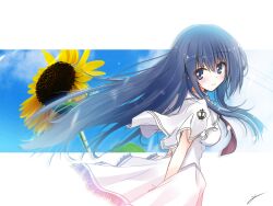 takashima zakuro from subarashiki hibi
