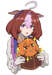 meisho doto (umamusume) from umamusume