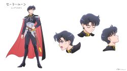 chiba mamoru from bishoujo senshi sailor moon