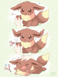 eevee from pokemon