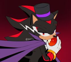 shadow the hedgehog from sonic (series)