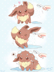 eevee from pokemon
