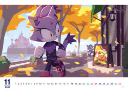 blaze the cat from sonic (series)