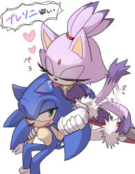 blaze the cat from sonic (series)