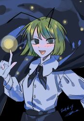 wriggle nightbug from touhou