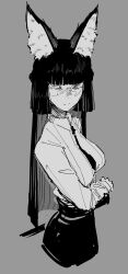 hoshimi miyabi from zenless zone zero