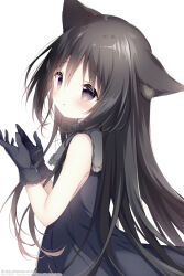 noir (hoshishiro) from hoshizora tetsudou to shiro no tabi by shiratama (shiratamaco)