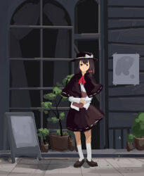 usami renko from touhou by furahata gen