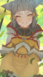 nia (xenoblade) from xenoblade chronicles (series)
