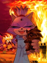blaze the cat from sonic (series)