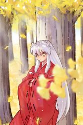 inuyasha (character) from inuyasha