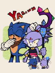 blaze the cat from sonic (series)