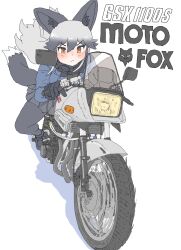silver fox (kemono friends) from kemono friends