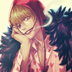 donquixote rocinante from one piece