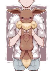 eevee from pokemon