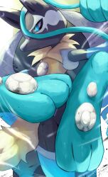 lucario from pokemon