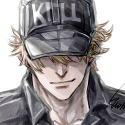 hataraku saibou fan art