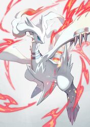 reshiram from pokemon by teo (telo ruka)
