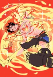 portgas d. ace from one piece