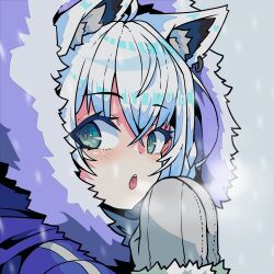 shirakami fubuki from hololive