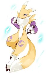 renamon from digimon