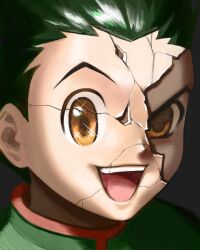 gon freecss from hunter x hunter