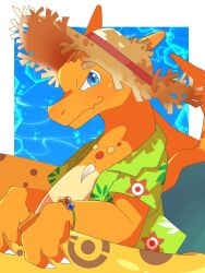 charizard from pokemon