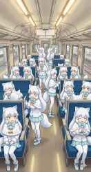 arctic fox (kemono friends) from kemono friends