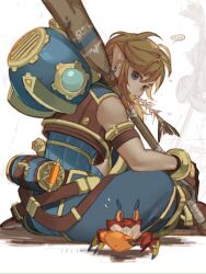 link from the legend of zelda by ivy (sena0119)