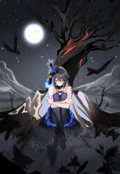 seele vollerei from honkai (series)