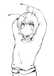 wriggle nightbug from touhou