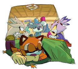 blaze the cat from sonic (series)