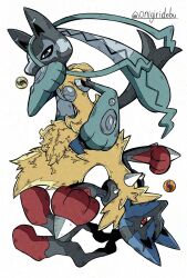 lucario from pokemon