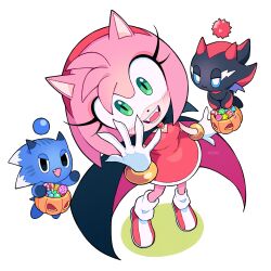 amy rose from sonic (series)
