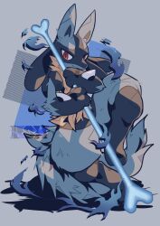 lucario from pokemon